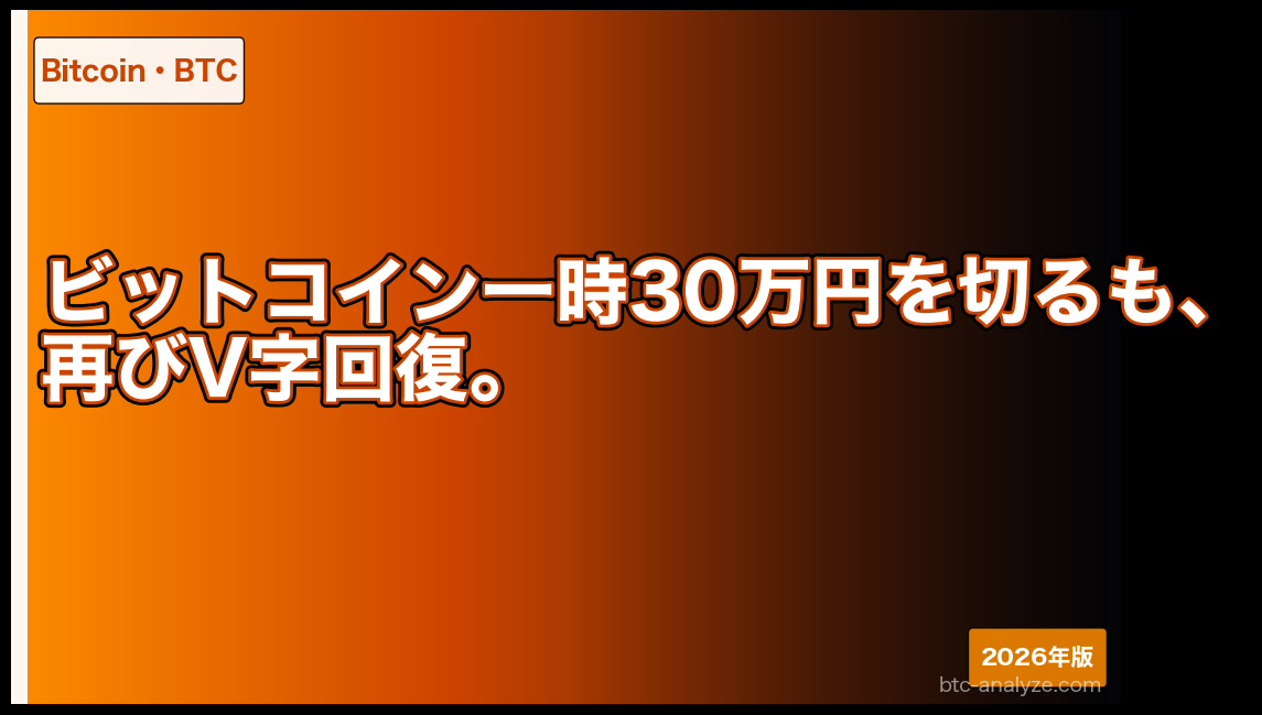 ビットコイン一時30万円を切るも、再びV字回復。