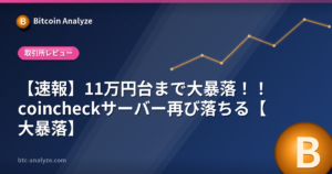 【速報】11万円台まで大暴落！！coincheckサーバー再び落ちる【大暴落】の解説画像
