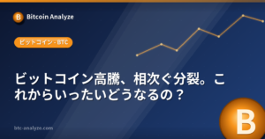 ビットコイン高騰、相次ぐ分裂。これからいったいどうなるの？の解説画像