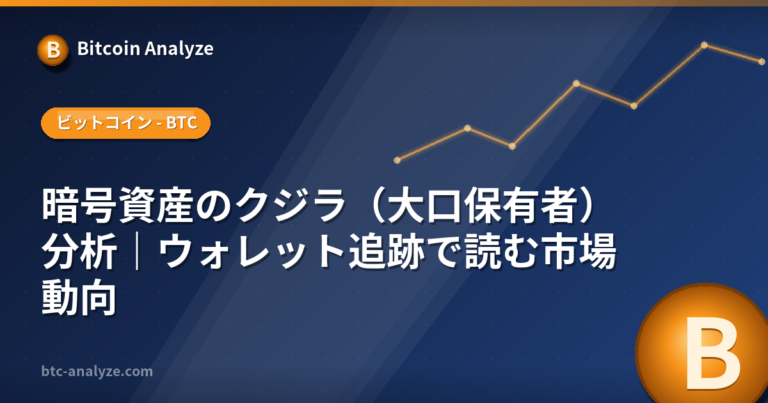 暗号資産のクジラ（大口保有者）分析｜ウォレット追跡で読む市場動向の解説画像