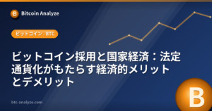 ビットコイン採用と国家経済：法定通貨化がもたらす経済的メリットとデメリットの解説画像