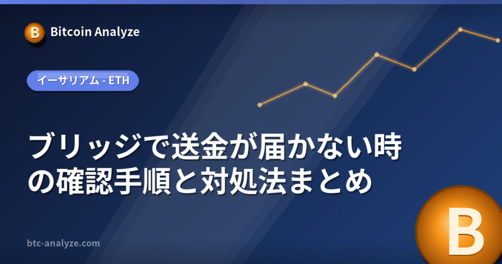ブリッジで送金が届かない時の確認手順と対処法まとめの解説画像